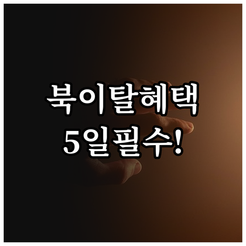 단 5일간 2025년 1월 북한이탈주..