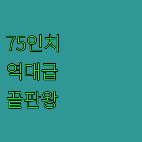 더함 75인치 MiniLED 4K T..