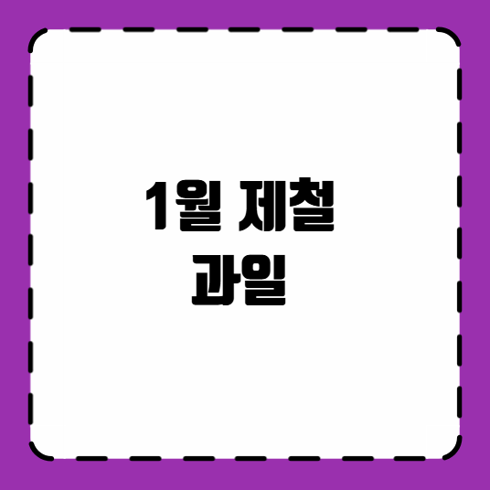 1월 제철 과일