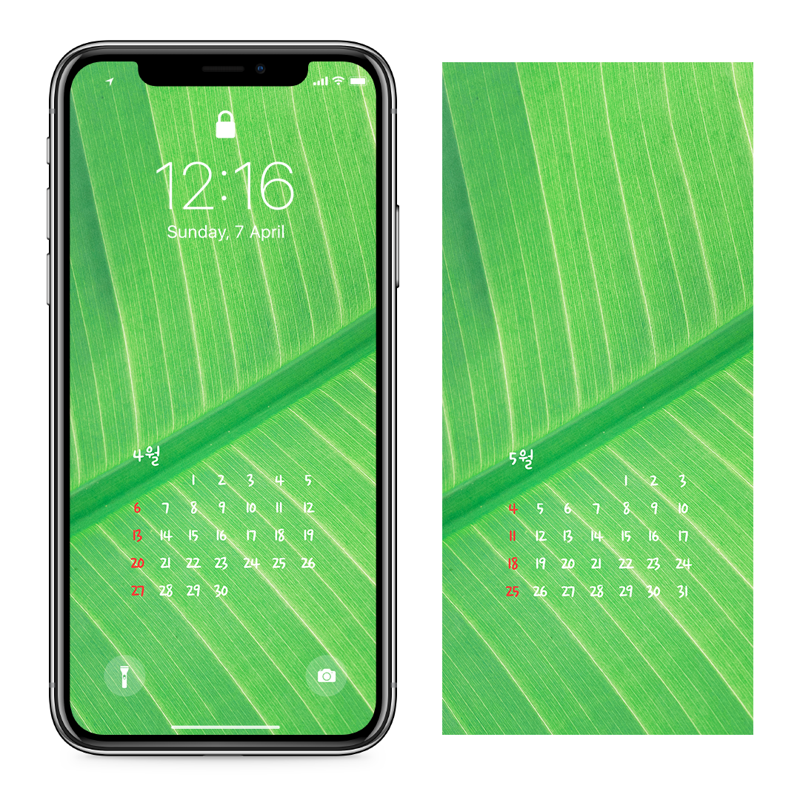 03 연두색 이파리 AB - 2025년4월 아이폰달력배경화면