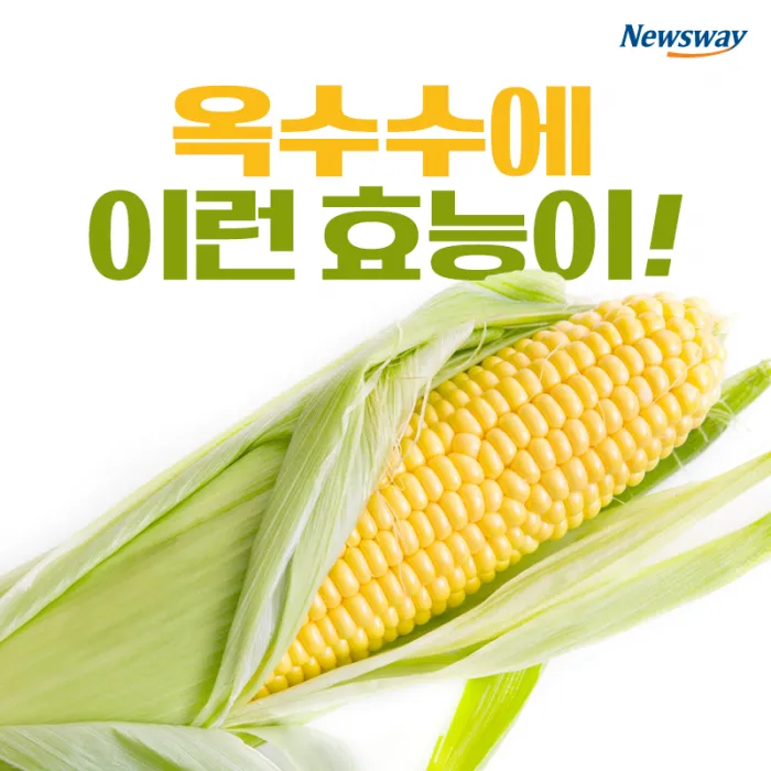옥수수 효능과 옥수수 삶는 방법 전자렌지 초당옥수수 찰옥수수 차이 비교 자료_4
