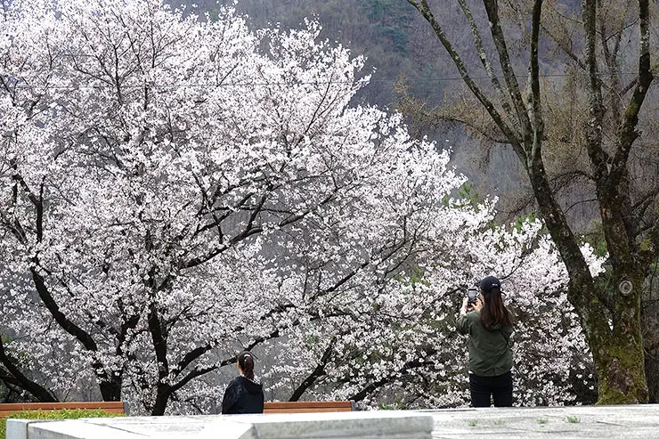 단양 소금정공원 
