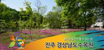 경상남도 수목원 5월의 꽃 관음죽꽃 핑퐁나무 황금자주달개비 마가렛 만첩빈도리 자란 크레이프자스민_11