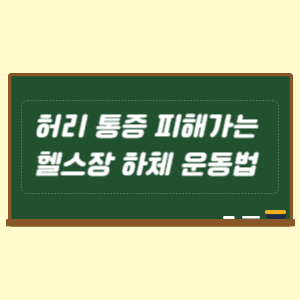 허리 통증이 있다면 헬스장 하체 운동 순서