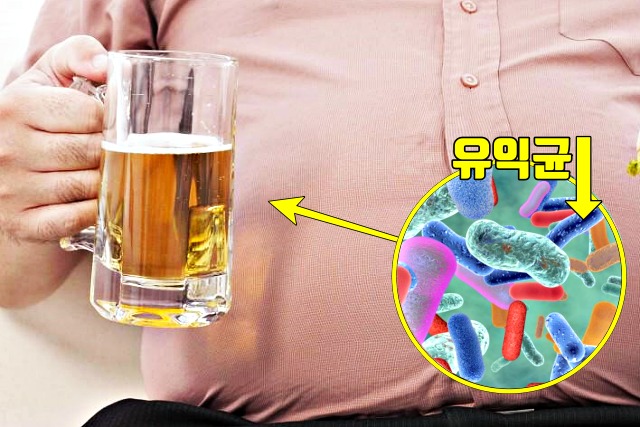맥주 술 마시면, 조금만 먹어도 배가 불러요, 배가 빵빵한 이유,조금 먹어도 배부른 증상,건강 팁줌 매일꿀정보