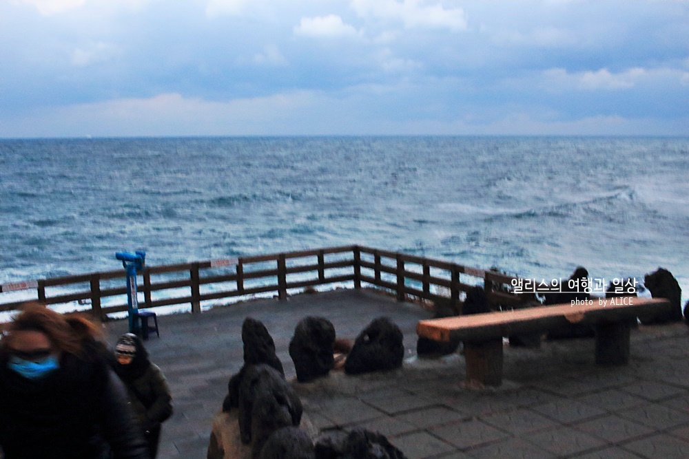 제주 앨리스 앤 트렁크 호텔 주변 제주공항 근처 가볼만한곳 BEST 10