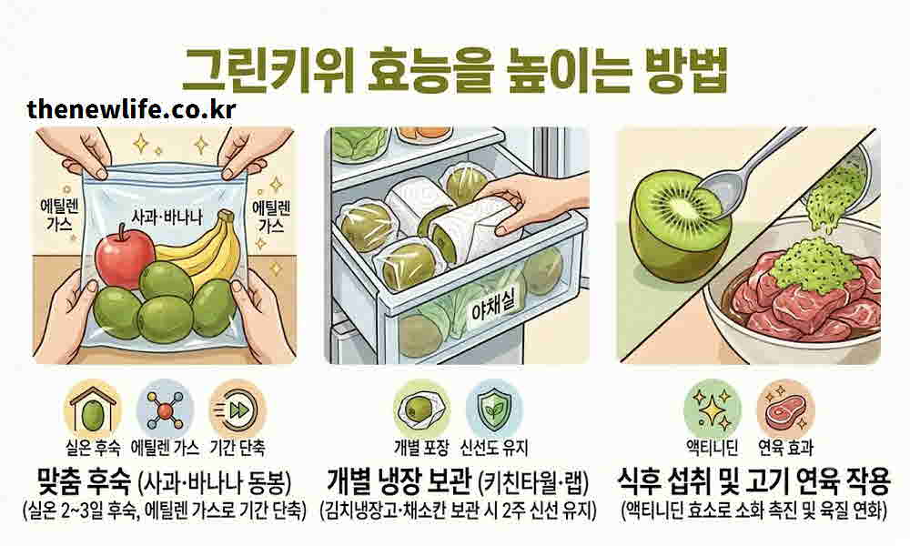 그린키위 효능 보관법 먹는 방법