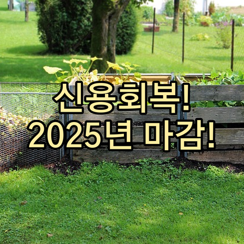 2025년 말까지 전액 상환해야 신용..