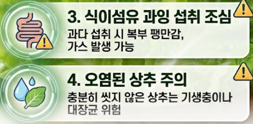 상추 효능