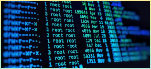 Centos7 서버의 루트 폴더