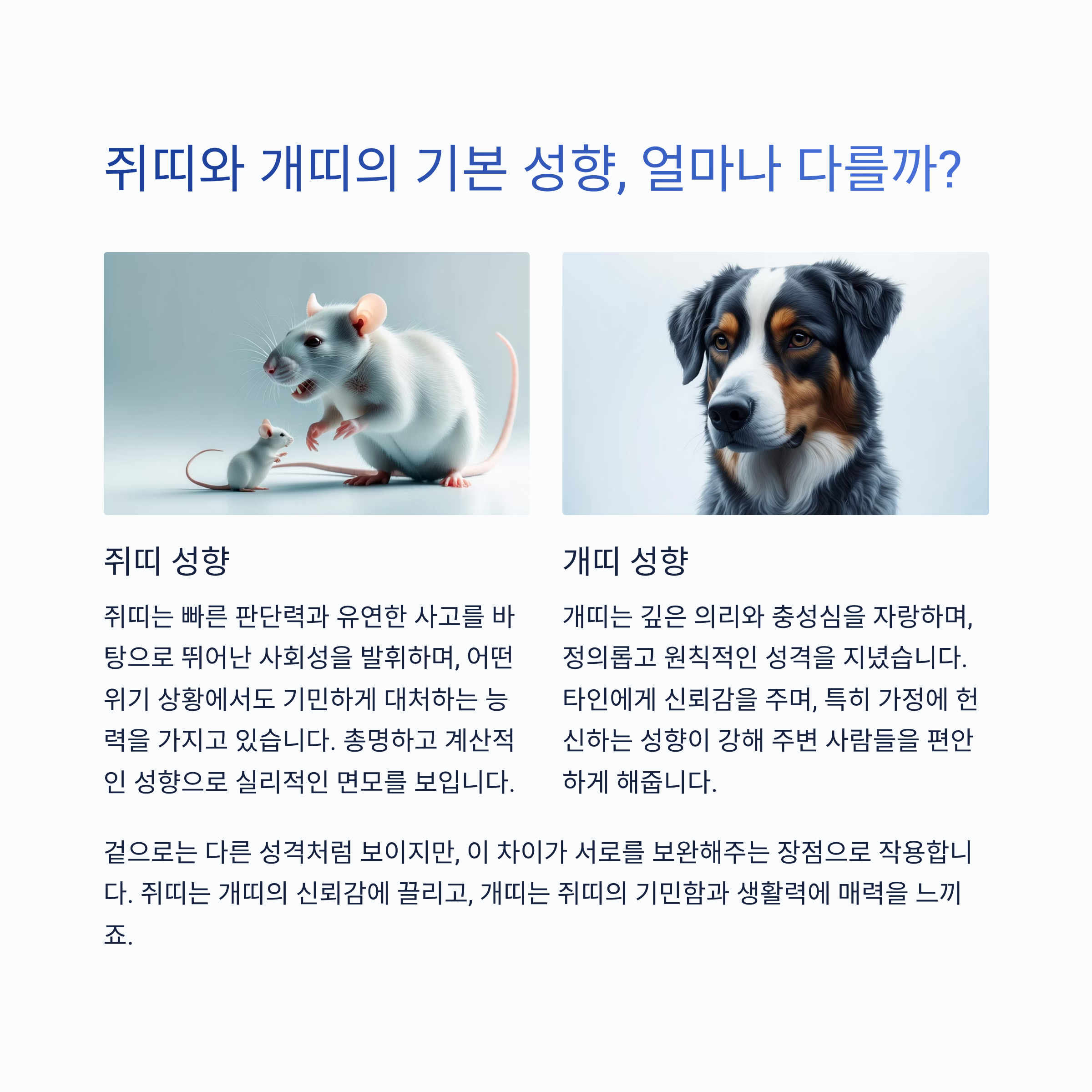 쥐띠와 개띠의 기본 성향, 얼마나 다를까?