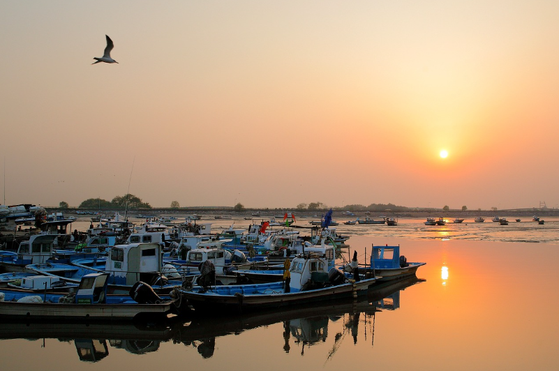 아이와 함께하는 인천 여행 - 인천 소래포구