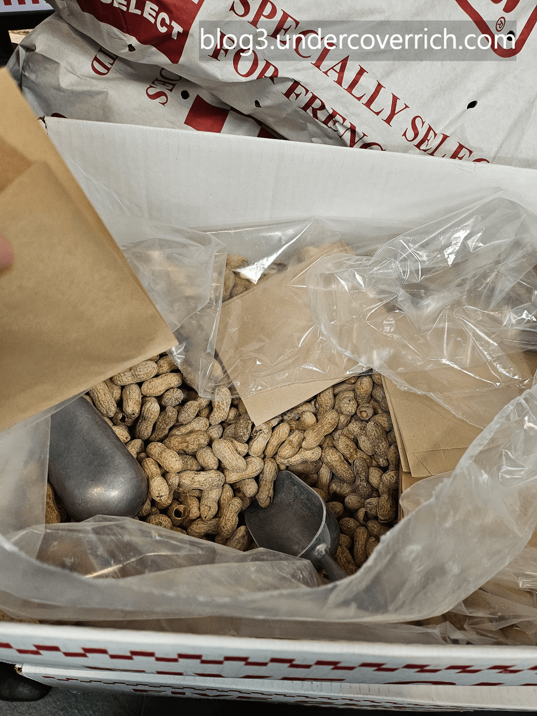 파이브가이즈 five guys