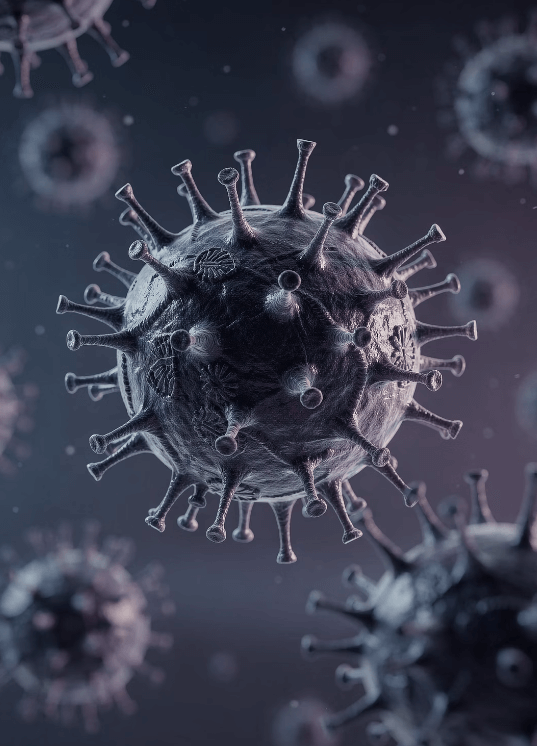 알레르기 눈 간지러움 원인과 증상