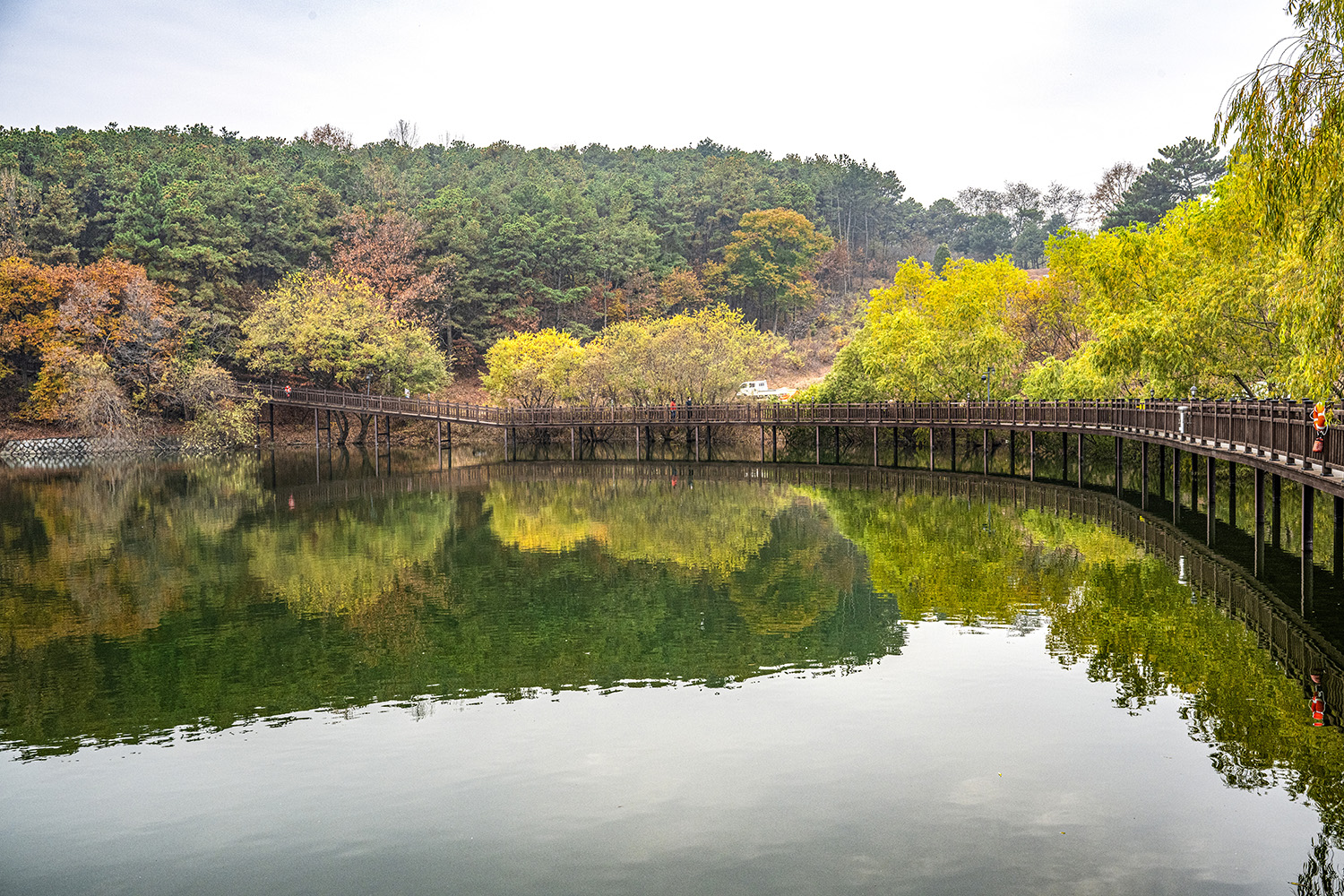 탑정호 수변데크 사진
