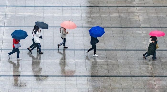 장마철 우산을 들고 걷는 사람들. 비 오는 날씨와 습한 환경을 상징하는 이미지