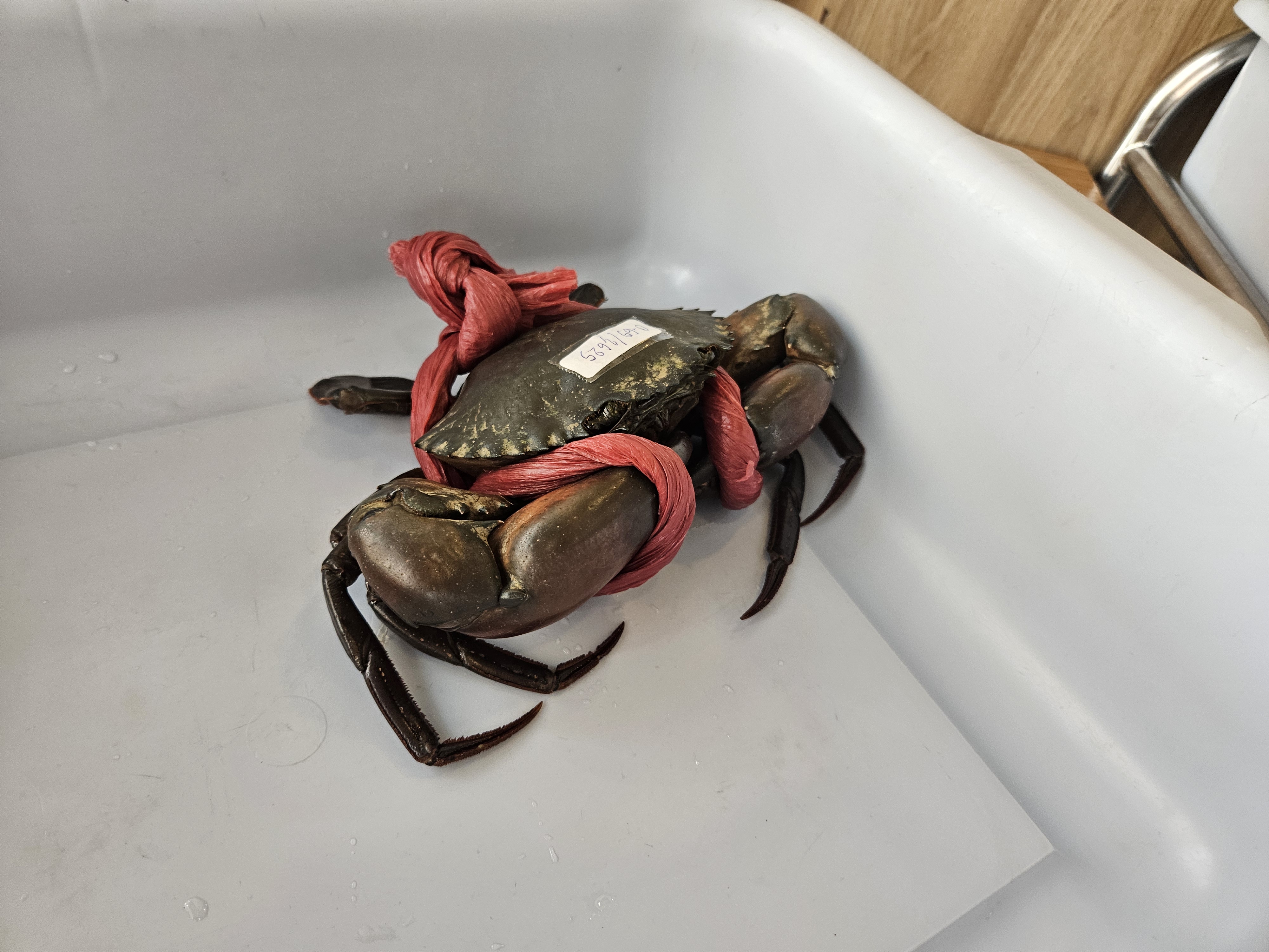 ๋จน๊ฒ๋  ๊ฒ ์ฌ์ง