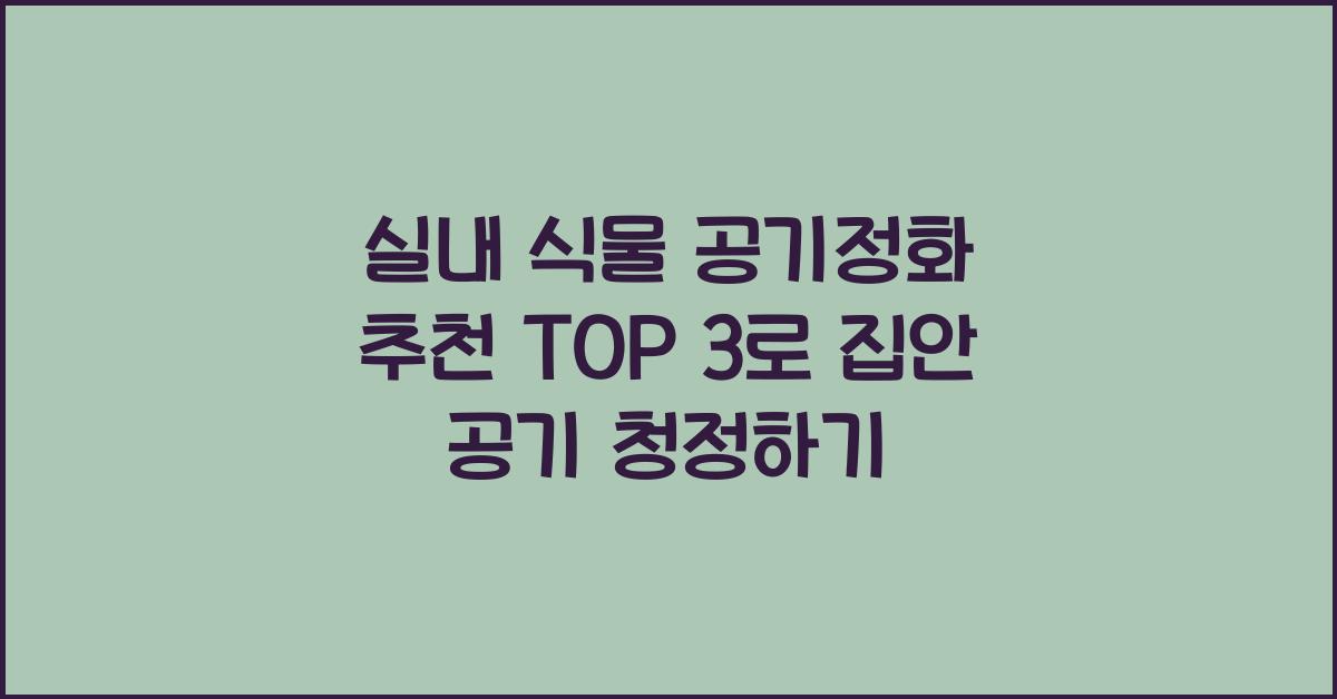 실내 식물 공기정화 추천 TOP 3