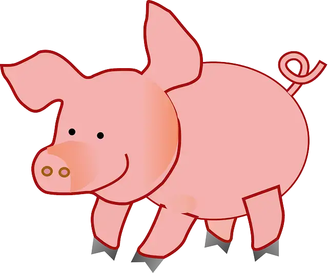 2025년 삼재띠 재물 나이