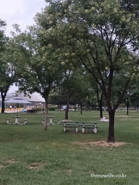 나무 그늘 아래 피크닉 테이블이 마련된 잠실 한강공원 물놀이장 잔디밭 공간