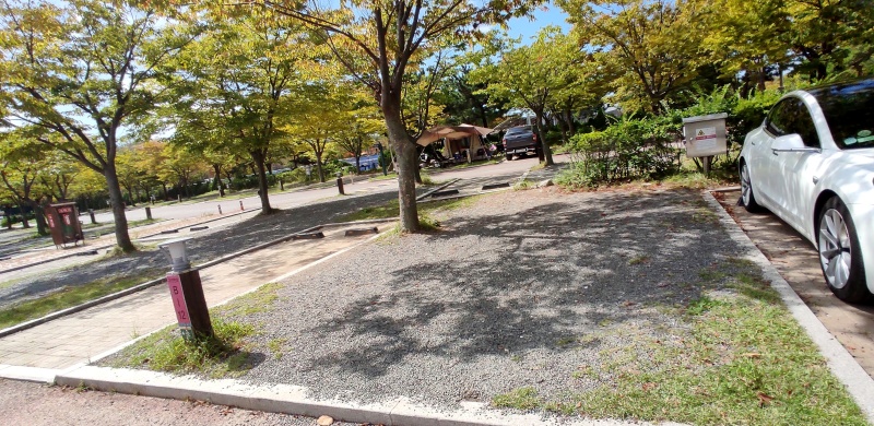 B-12 사이트
