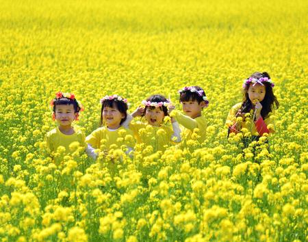 삼척 유채꽃 축제2