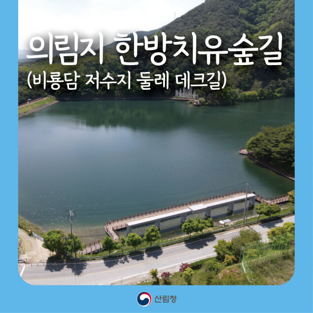 몸과 마음이 쉬어가는 숲길, 의림지 한방치유숲길 완벽 가이드!