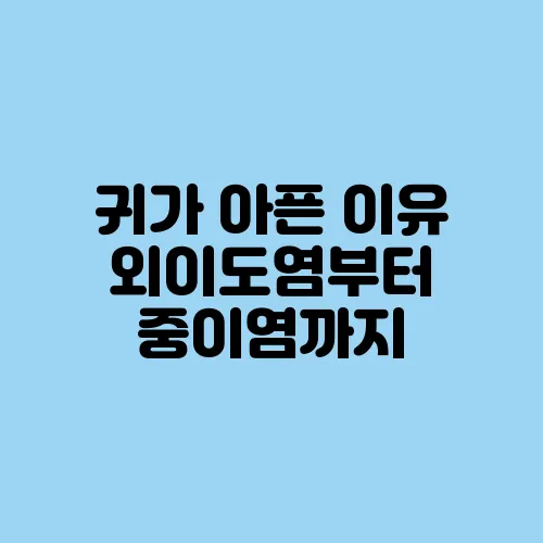 귀가 아픈 이유 외이도염부터 중이염까지