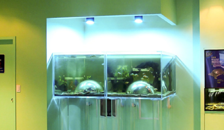 단양 아쿠아리움