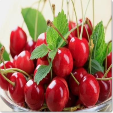 타트체리 부작용 효능