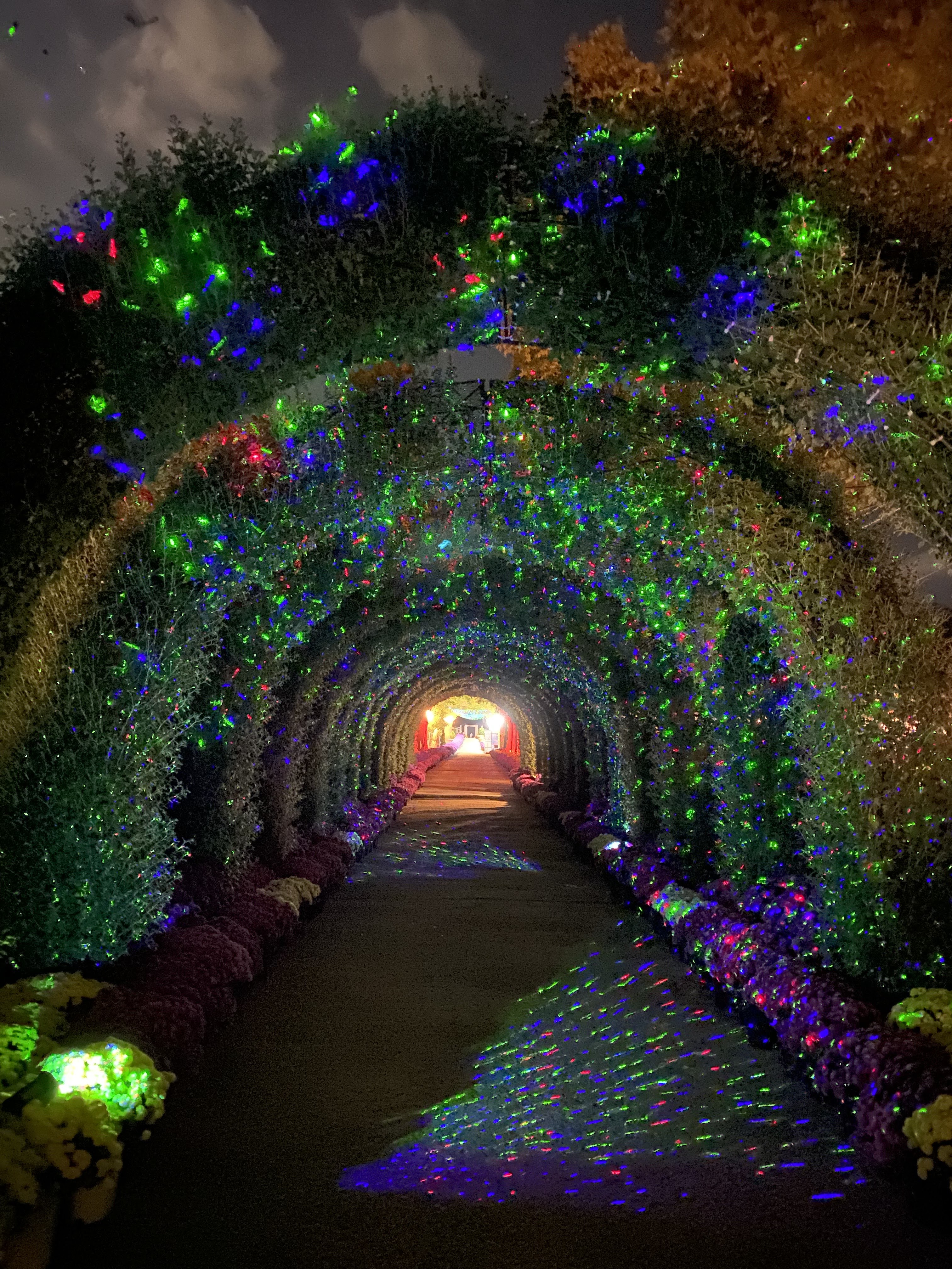 [충남 논산]사계절 내내 머물고 싶은 곳, 피나클랜드 수목원 이야기