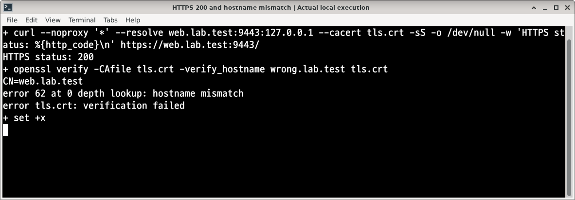 kubernetes-ingress-https-verify.png