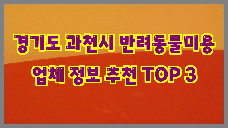 경기도 과천시 반려동물미용