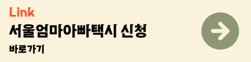 서울엄마아빠택시 신청 이용 방법 몽땅정보만능기 저출생대책 신생아 카시트 대형택시 이용