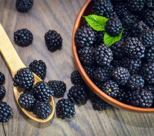 복분자 영어로 오디 산딸기 영어 표현 블랙배리 차이 총정리4