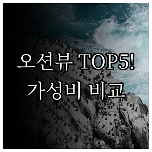 낙산 해변 오션뷰 호텔 5곳 완벽 비..
