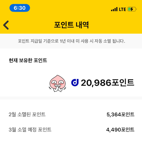 캐시닥 포인트 내역