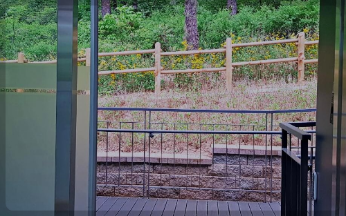 서울 숲속 도서관으로 책 여행 떠나자