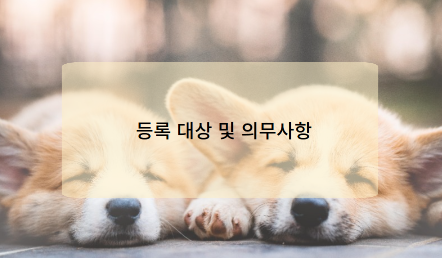 등록 대상 및 의무사항