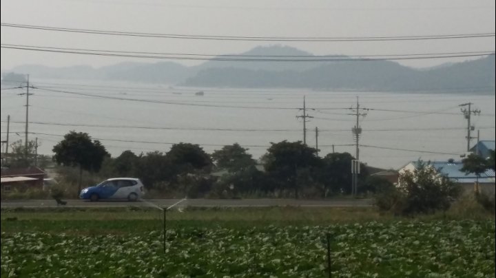 해남배추와 절임배추의 매력