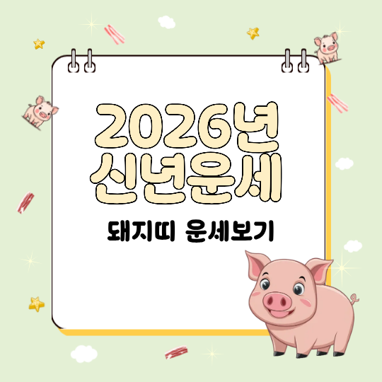 2026년 돼지띠 신년운세 총정리: 재물운·연애운·직업운·건강운 흐름