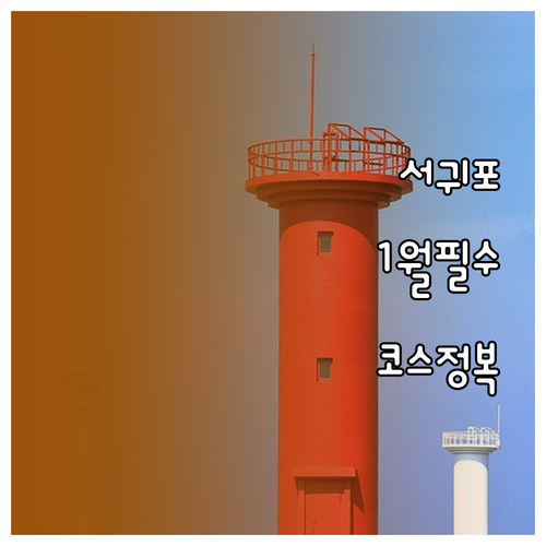 제주도 서귀포 1월 여행 명소 정리와..