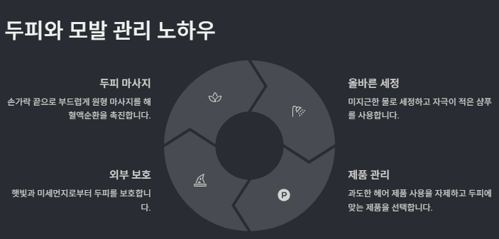 탈모 원인, 특징(초기증상), 예방관리(샴푸,영양제,약,좋은음식) 방법 총정리