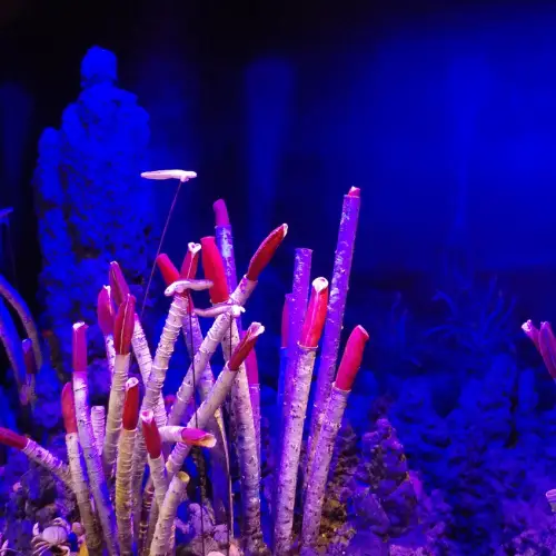 조경기능사 자격증 시험일정