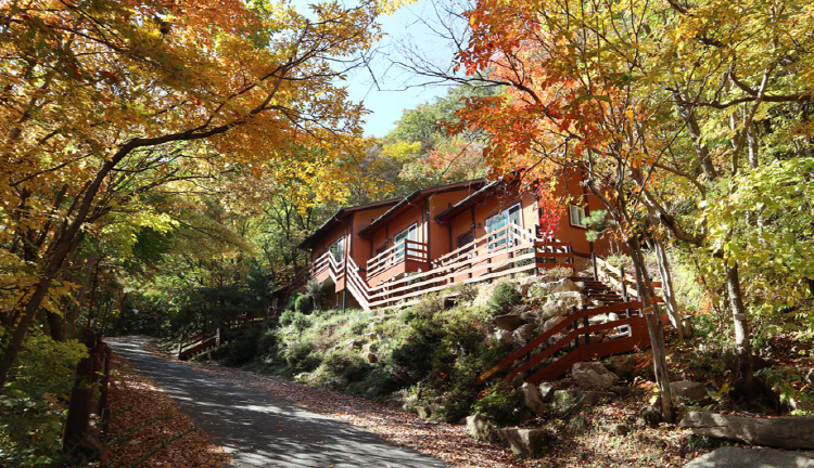 운문산 자연휴양림