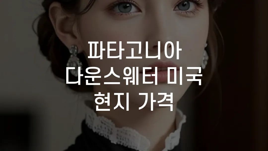 파타고니아 다운스웨터 미국 현지 가격