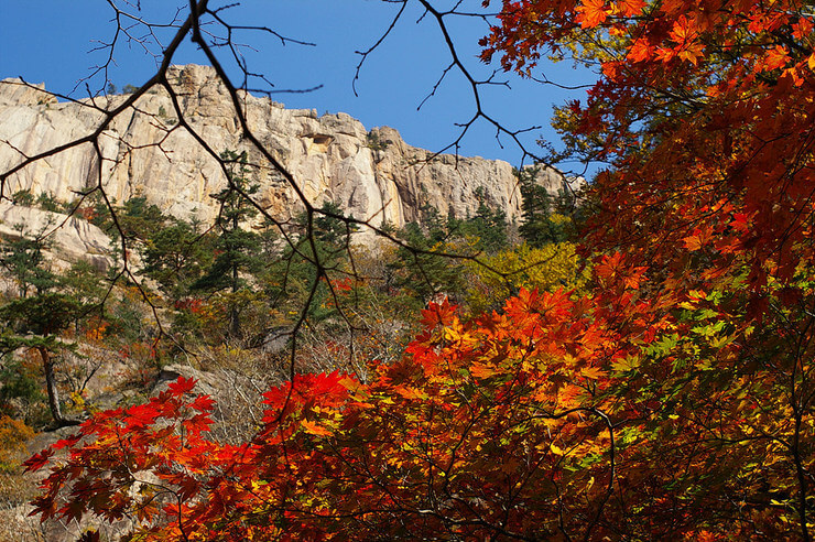 설악산 케이블카 예매방법 및 운행시간