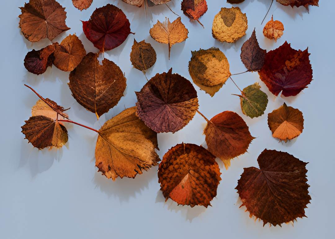 나뭇잎을 붙여서 만든 그림