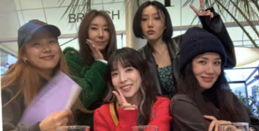 서울체크인 이효리 엄정화 화사 보아 김완선