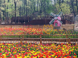 부펀 무릉도원 수목원